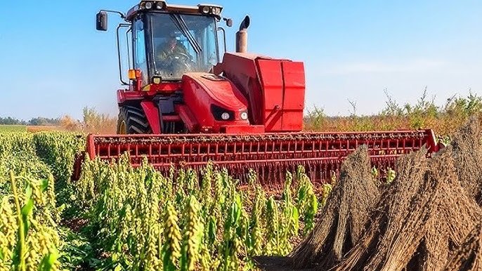 UKA Foods Agricultural Operations