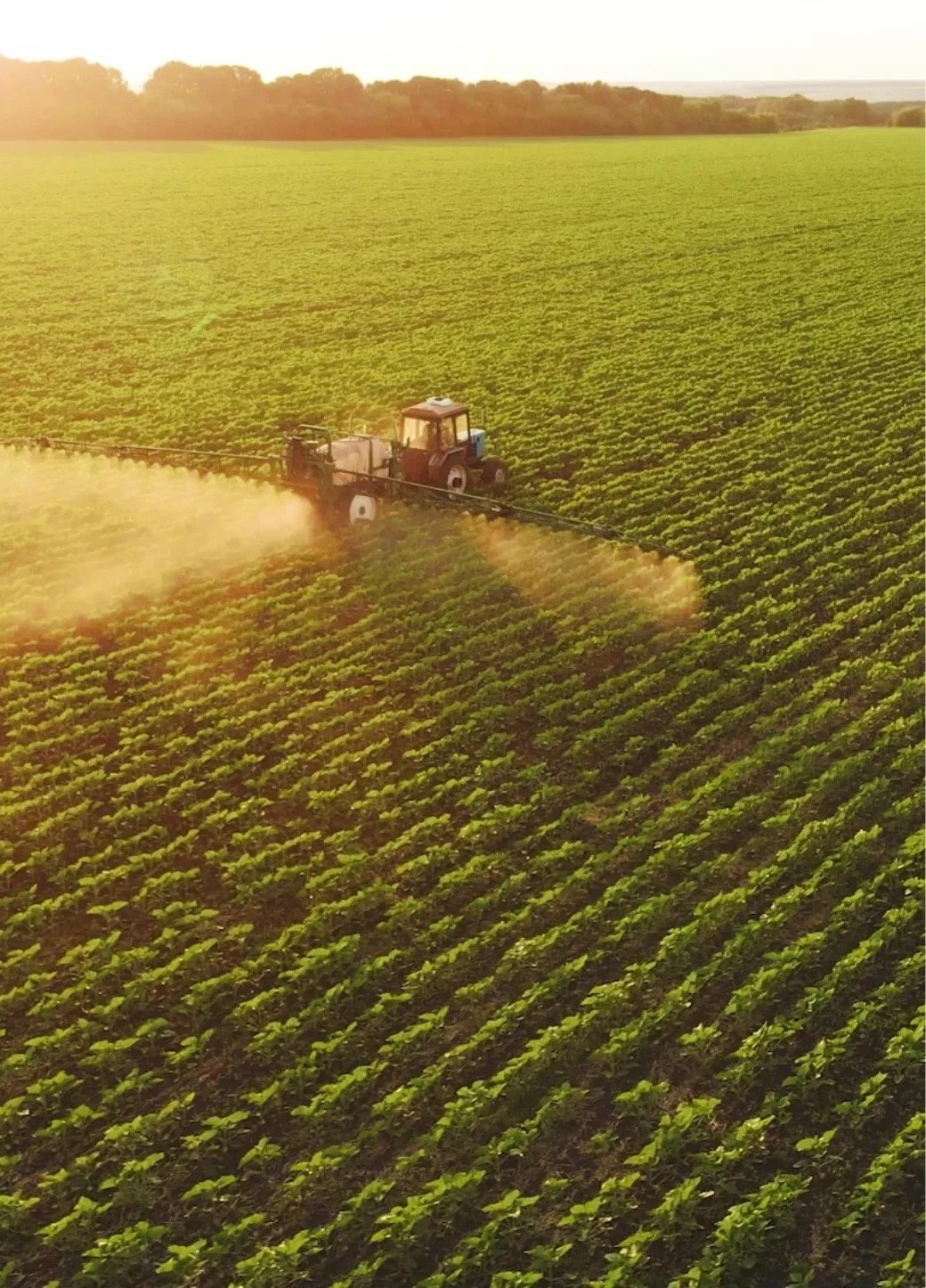 UKA Foods Agricultural Operations
